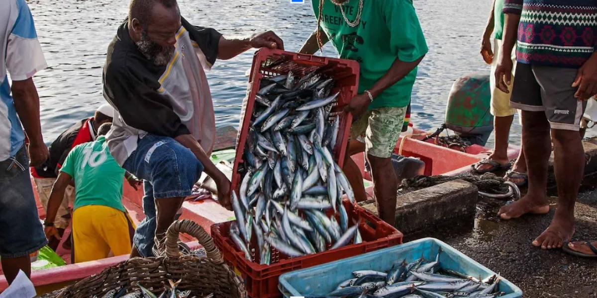 Marine biodiversity conservation and sustainable fisheries management within the framework of the Blue Economy