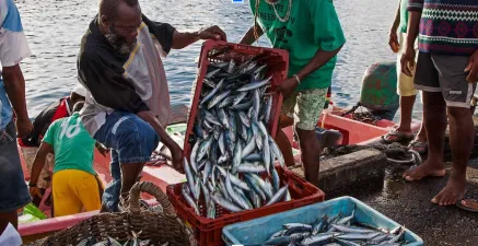Marine biodiversity conservation and sustainable fisheries management within the framework of the Blue Economy