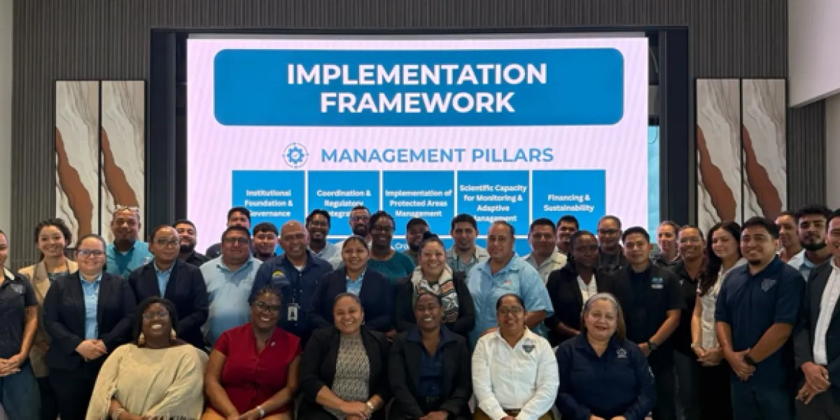Representatives of key government ministries, departments, and regulatory agencies are among the stakeholders attending  the two-day BSOP workshop.